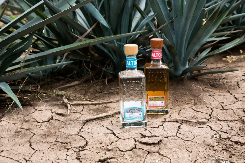 How to Infuse Tequila: Custom Flavors