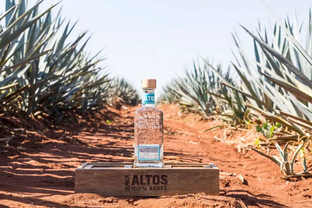 What to Mix with Silver Tequila?